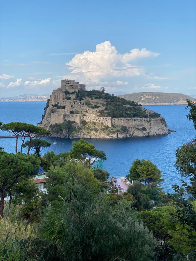 Vittoria Colonna Luxury B&B Ischia Ngoại thất bức ảnh
